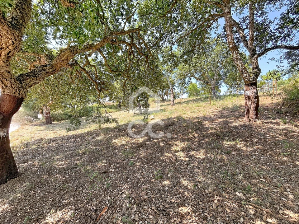 Terreno para Venda em A dos Negros Foto 17