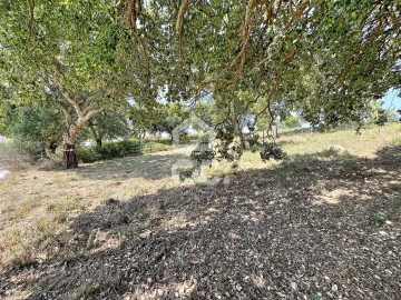 Terreno para Venda em A dos Negros