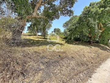 Terreno para Venda em A dos Negros