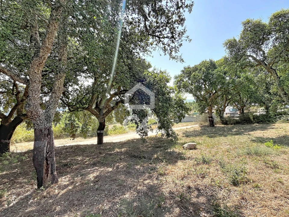 Terreno para Venda em A dos Negros Foto 9