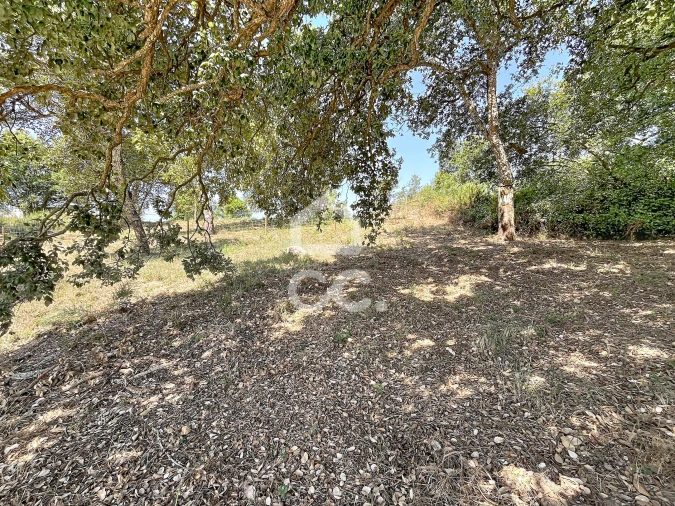 Terreno para Venda em A dos Negros Foto 15