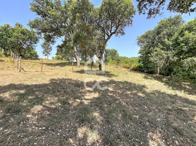 Terreno para Venda em A dos Negros Foto 2