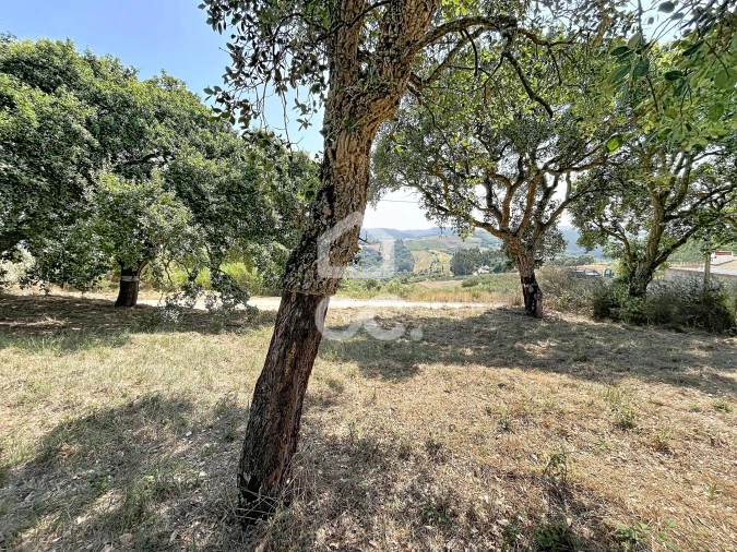 Terreno para Venda em A dos Negros Foto 16