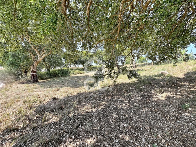 Terreno para Venda em A dos Negros Foto 10