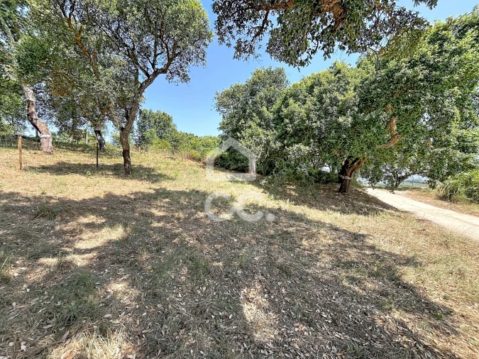Terreno para Venda em A dos Negros Foto 3