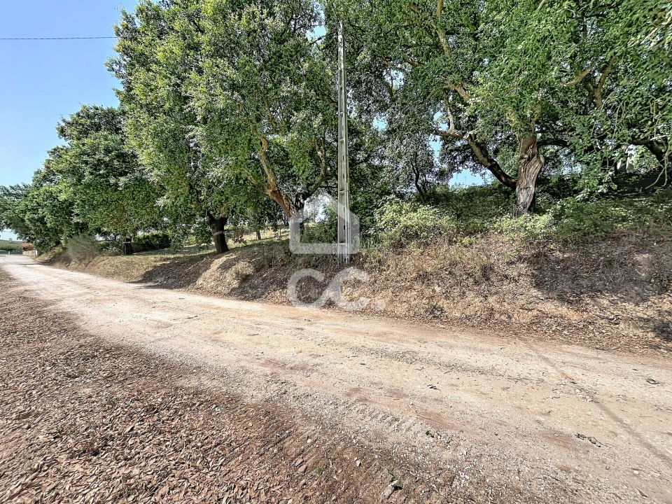 Terreno para Venda em A dos Negros Foto 18