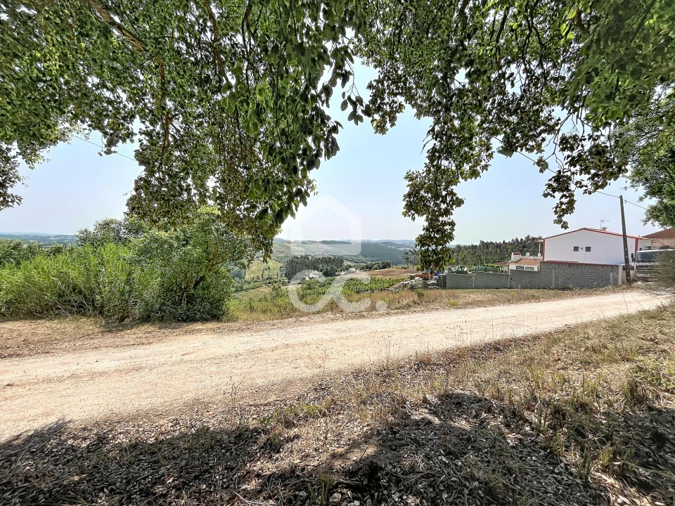 Terreno para Venda em A dos Negros Foto 7