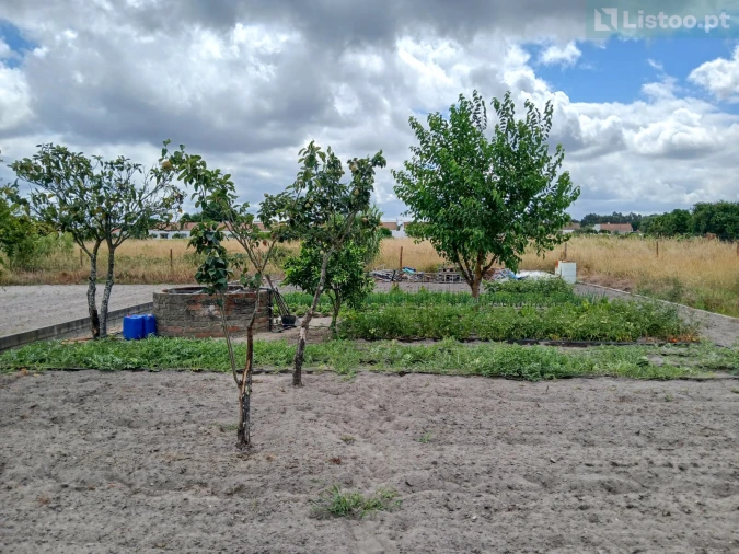 Moradia T3 para Venda em Coruche, Fajarda e Erra Foto 23