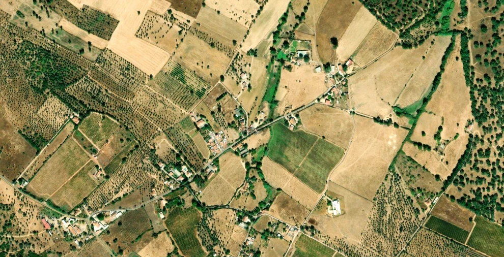 Moradia T2 para Venda em Estremoz (Santa Maria e Santo André) Foto 13