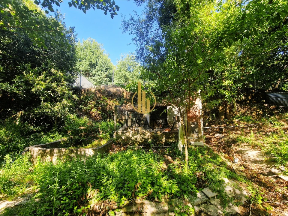Quinta T3 para Venda em Gove Foto 46
