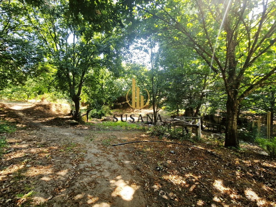 Quinta T3 para Venda em Gove Foto 48