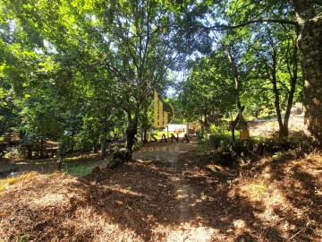 Quinta T3 para Venda em Gove