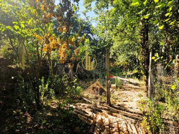 Quinta T3 para Venda em Gove