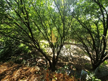 Quinta T3 para Venda em Gove