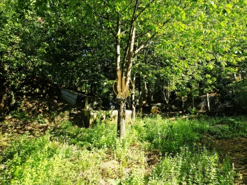 Quinta T3 para Venda em Gove