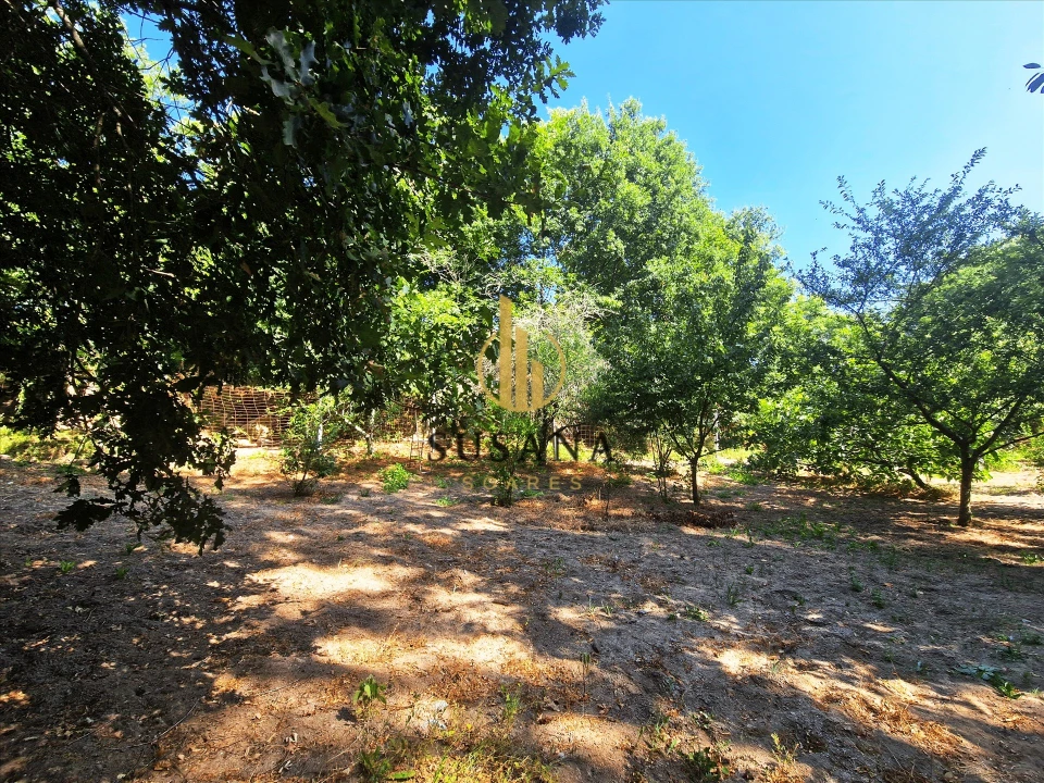Quinta T3 para Venda em Gove Foto 35