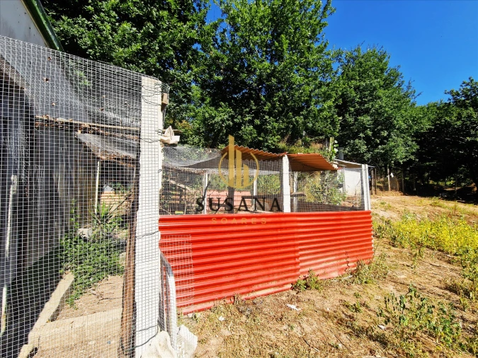 Quinta T3 para Venda em Gove Foto 22