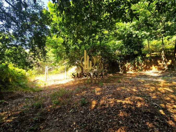Quinta T3 para Venda em Gove Foto 62