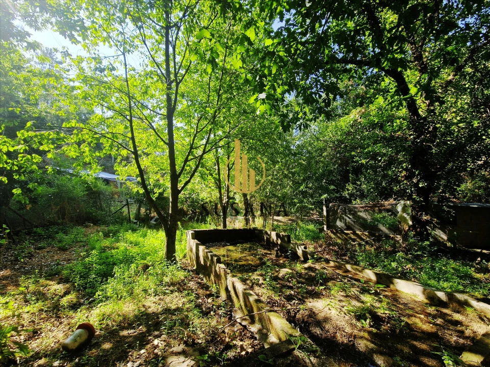 Quinta T3 para Venda em Gove Foto 54