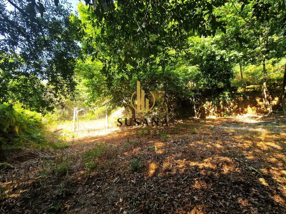 Quinta T3 para Venda em Gove Foto 62