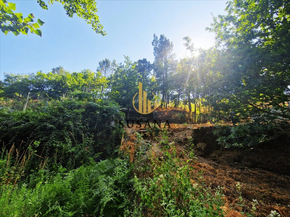Quinta T3 para Venda em Gove Foto 45