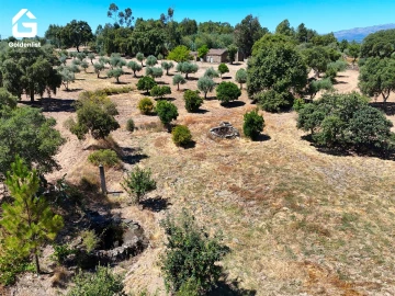 Quinta T1 para Venda em São Miguel de Acha