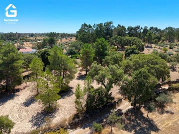 Quinta T1 para Venda em São Miguel de Acha