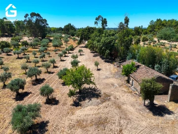 Quinta T1 para Venda em São Miguel de Acha
