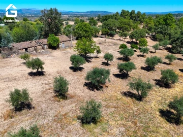 Quinta T1 para Venda em São Miguel de Acha