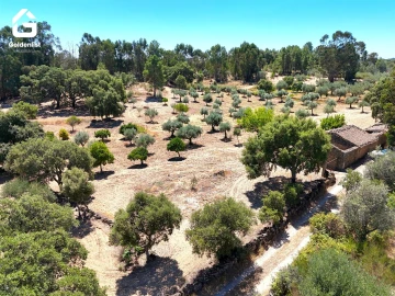 Quinta T1 para Venda em São Miguel de Acha