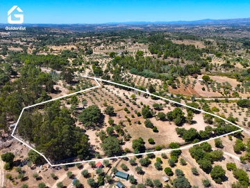 Quinta T1 para Venda em São Miguel de Acha