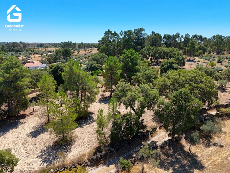 Quinta T1 para Venda em São Miguel de Acha Foto 15
