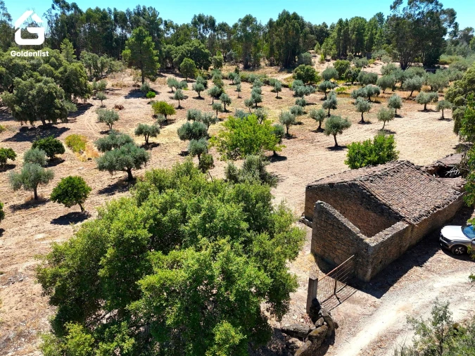 Quinta T1 para Venda em São Miguel de Acha Foto 14
