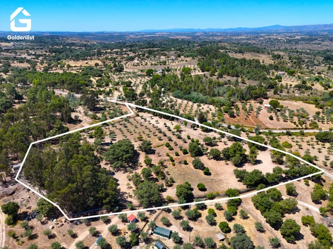 Quinta T1 para Venda em São Miguel de Acha Foto 6