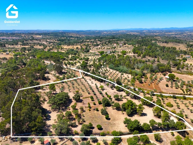 Quinta T1 para Venda em São Miguel de Acha Foto 2