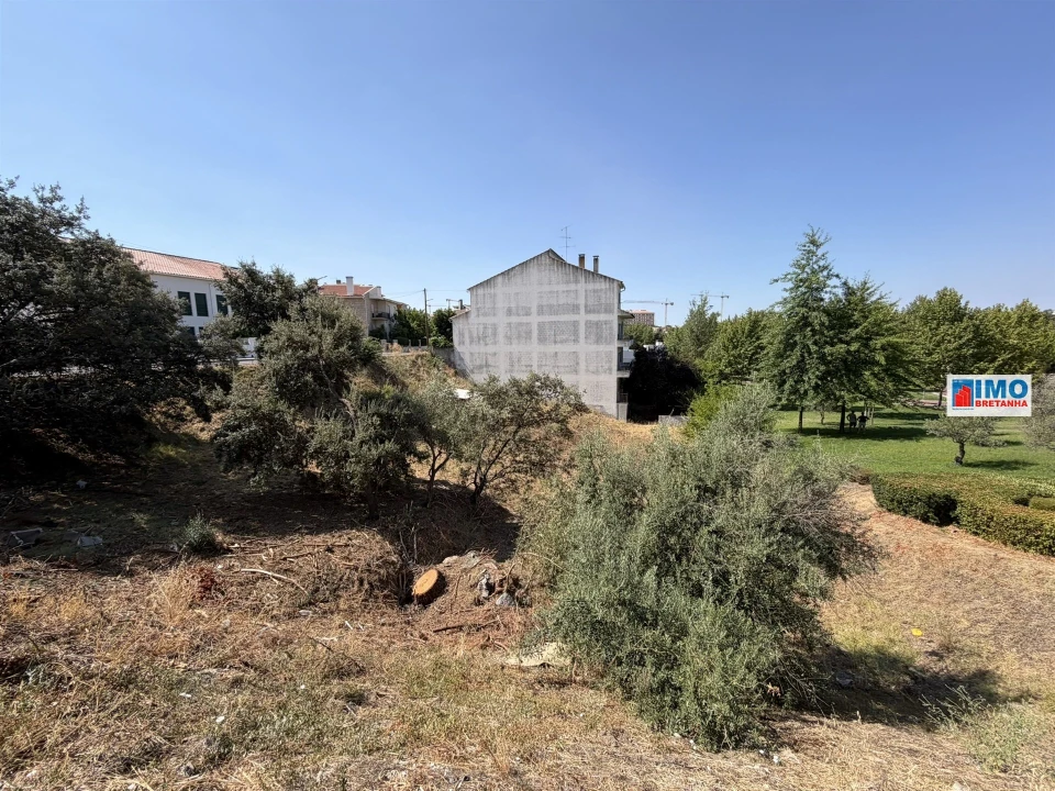 Terreno para Venda em Castelo Branco Foto 3