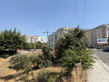 Terreno para Venda em Castelo Branco