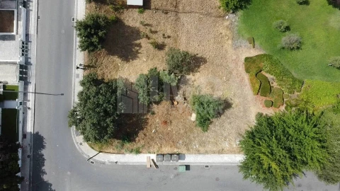 Terreno para Venda em Castelo Branco