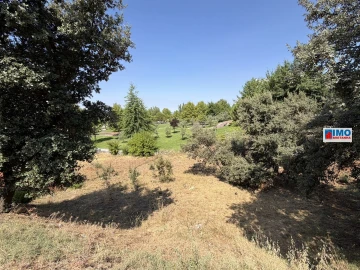 Terreno para Venda em Castelo Branco