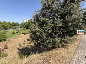 Terreno para Venda em Castelo Branco