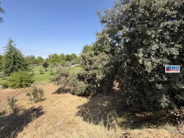 Terreno para Venda em Castelo Branco