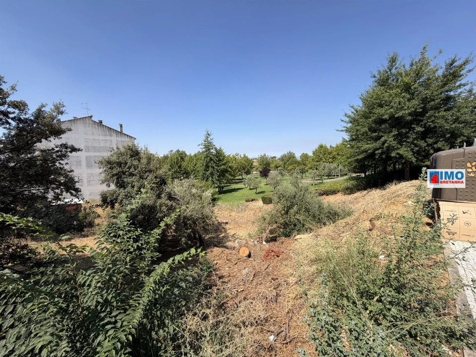 Terreno para Venda em Castelo Branco Foto 5