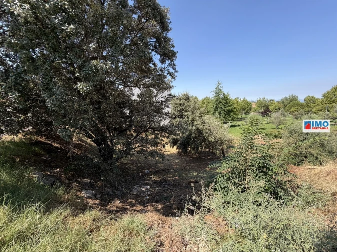 Terreno para Venda em Castelo Branco Foto 6