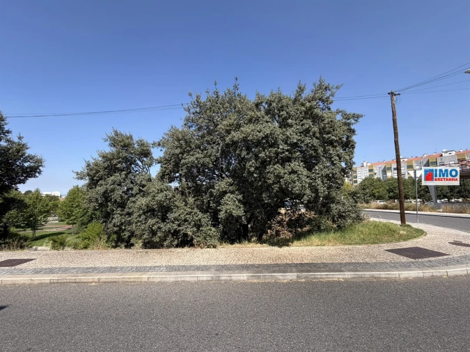 Terreno para Venda em Castelo Branco Foto 7