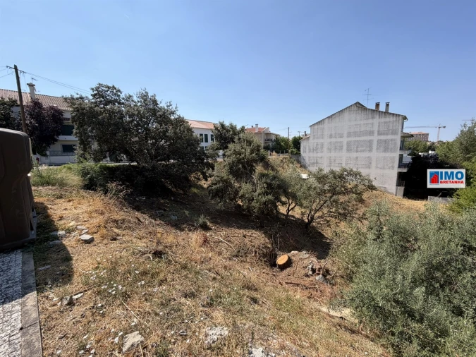 Terreno para Venda em Castelo Branco Foto 4