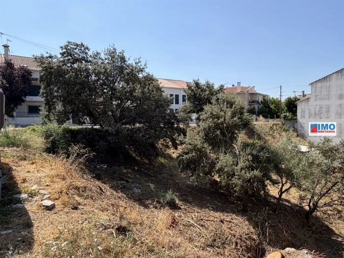 Terreno para Venda em Castelo Branco Foto 2