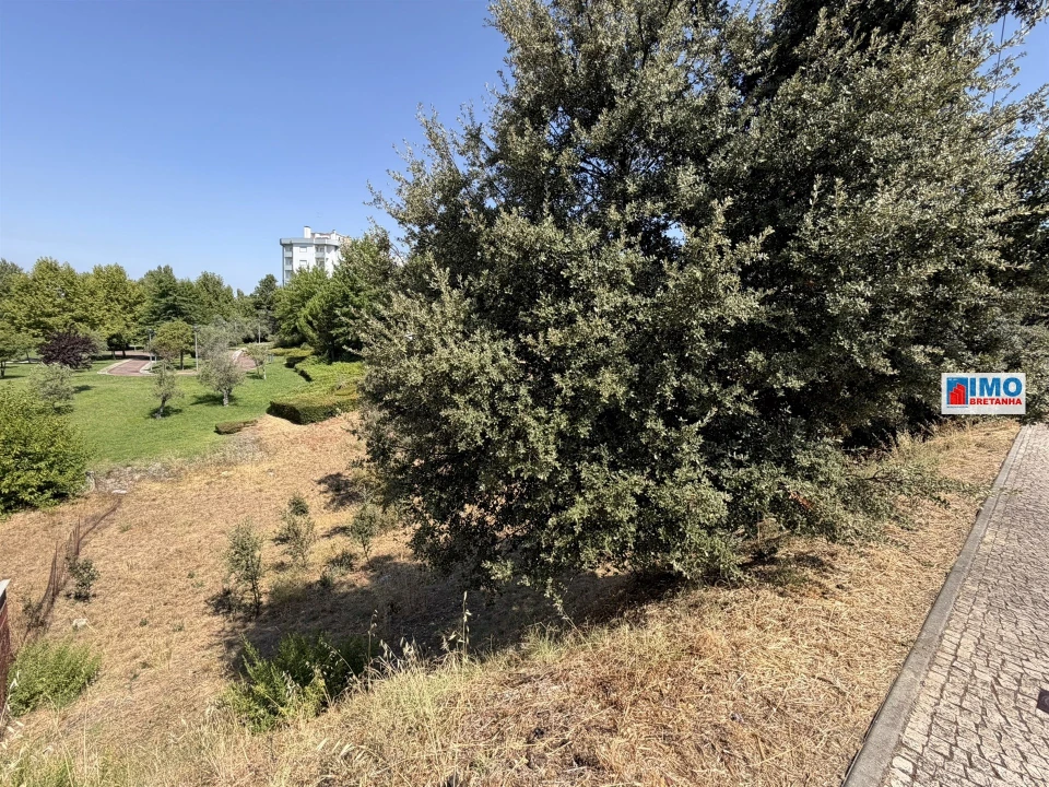 Terreno para Venda em Castelo Branco Foto 13