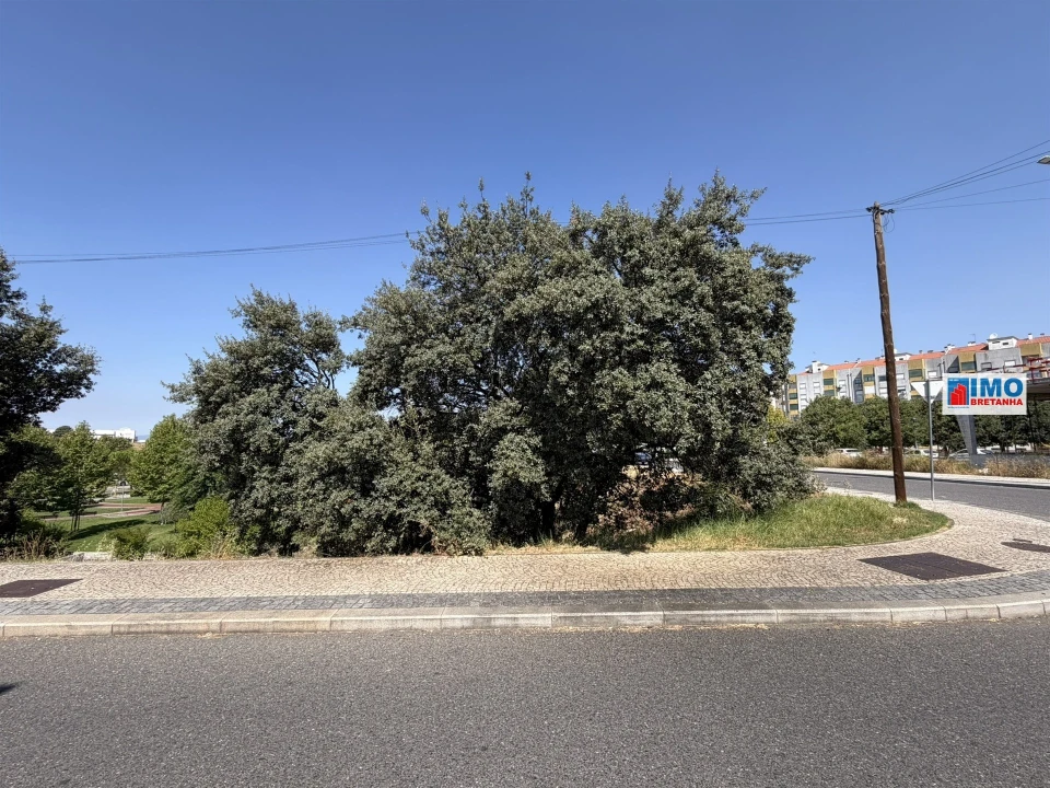 Terreno para Venda em Castelo Branco Foto 7