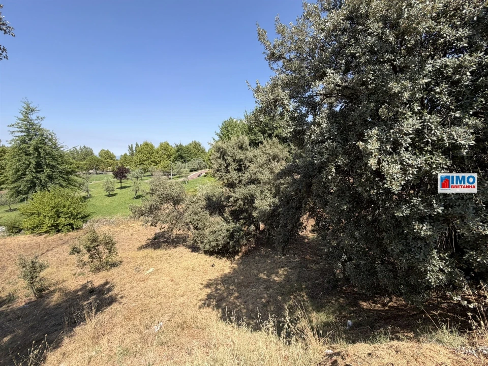 Terreno para Venda em Castelo Branco Foto 11