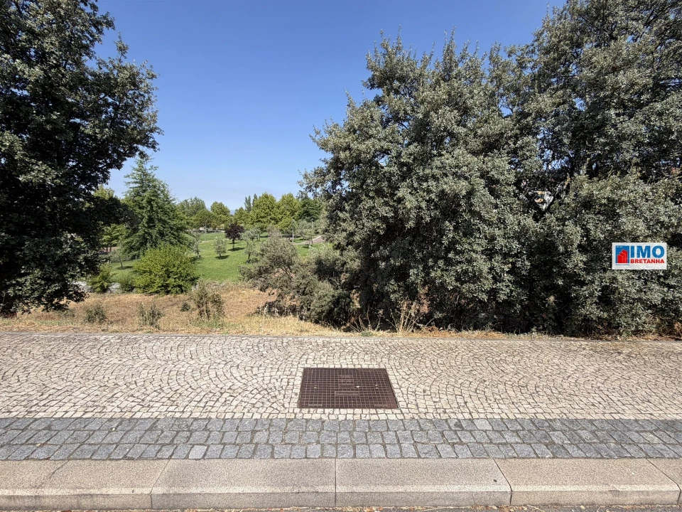 Terreno para Venda em Castelo Branco Foto 8